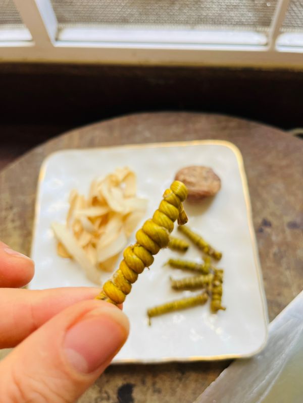 石斛西洋参瘦肉汤