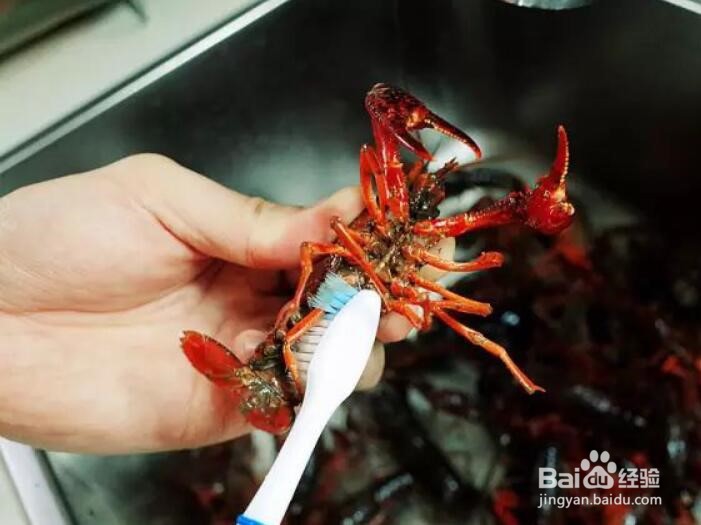 怎么做麻辣小龙虾
