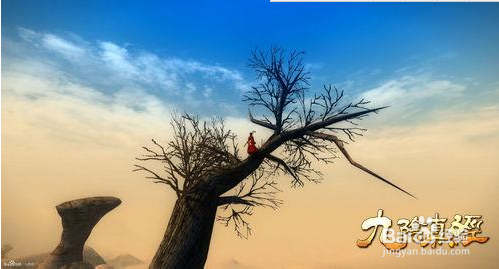 九阴真经之我见