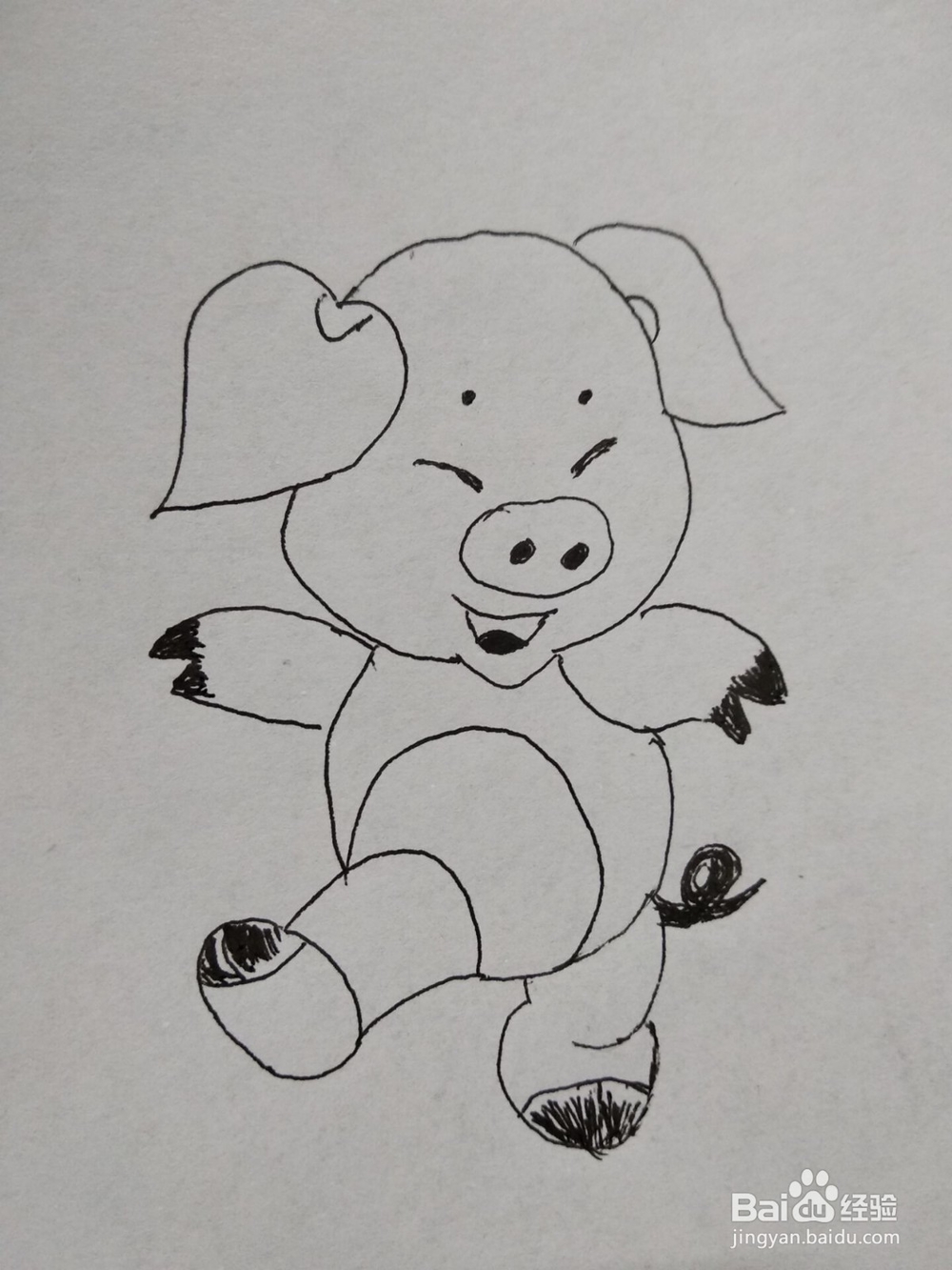 猪年开心小猪简笔画方法