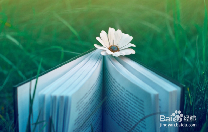 总是静不下心来读书怎么办?