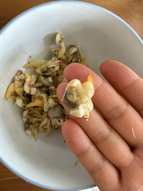 捞汁金针菇蚬子肉