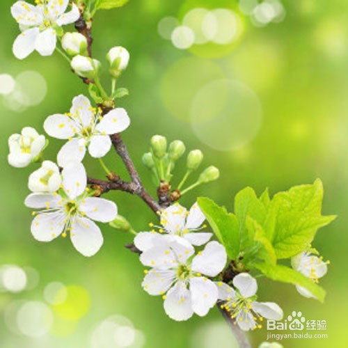 我们怎么样更加好的混在当下