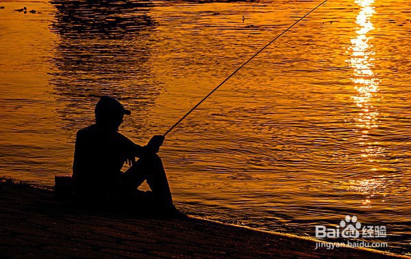 钓黑鱼的小攻略简单教学