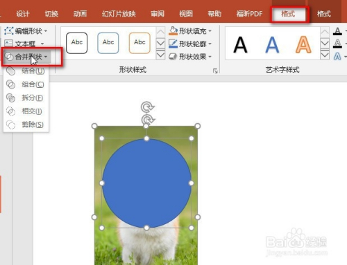 ppt|将图片裁剪成任意形状
