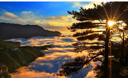 庐山个人自助5日游攻略