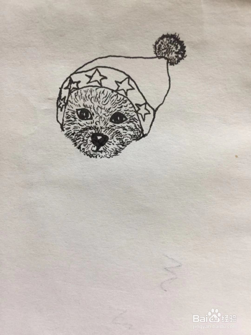 插画教程之圣诞泰迪狗