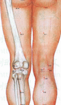 自我调理技巧，穴位汇集