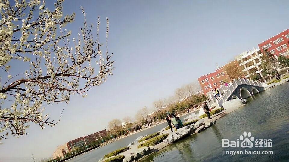 早春时节可以干嘛呢？