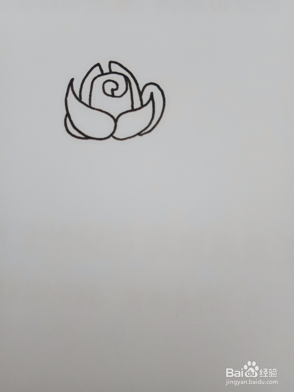 一支玫瑰花的简笔画怎么画