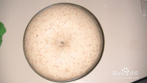 健康~全麦早餐面包