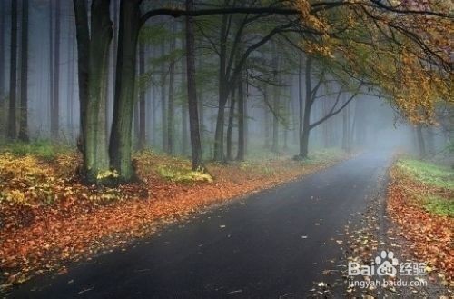 四十不惑什么呢？让我告诉你