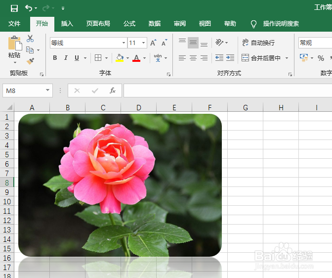 <b>excel2019如何对插入的图片进行倒角镜像处理</b>