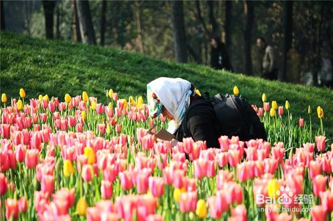 提不起精神怎么办？