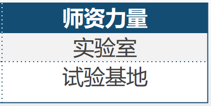 山东新高考如何填志愿