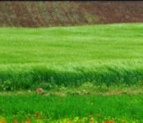 监理施工要点56