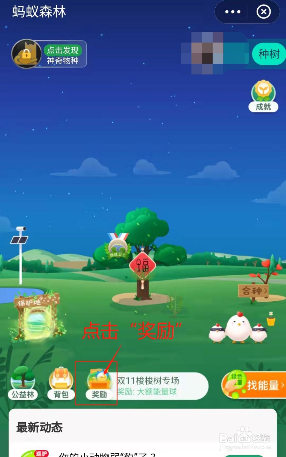 蚂蚁森林小树如何获得森林精选挂件