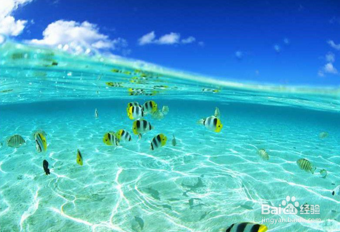 被誉为“天下第一湾”的三亚旅游推荐