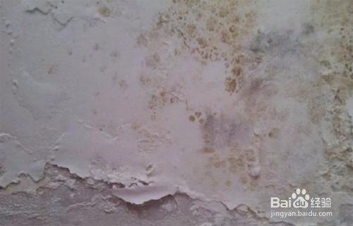 如何去乳胶漆墙面的污渍