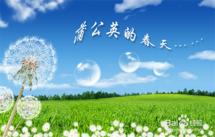 想离婚了怎么办