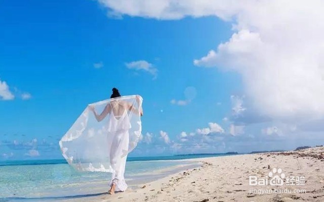 十一免签的高性价比海岛——帕劳旅游攻略