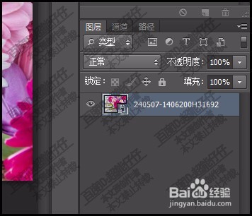 如何把图片拉到PS中？