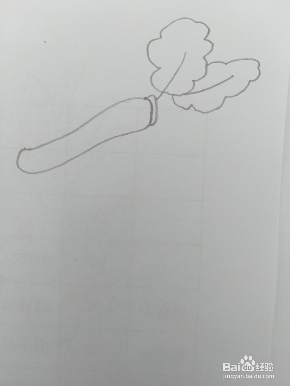 简笔画胡萝卜画法四