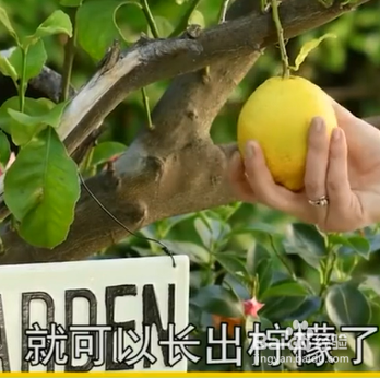 如何掌握有趣的小妙招？