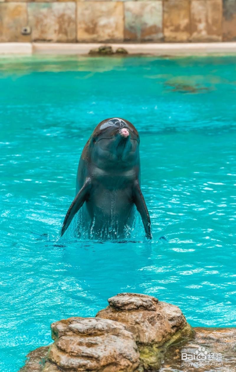 新加坡旅游简记20