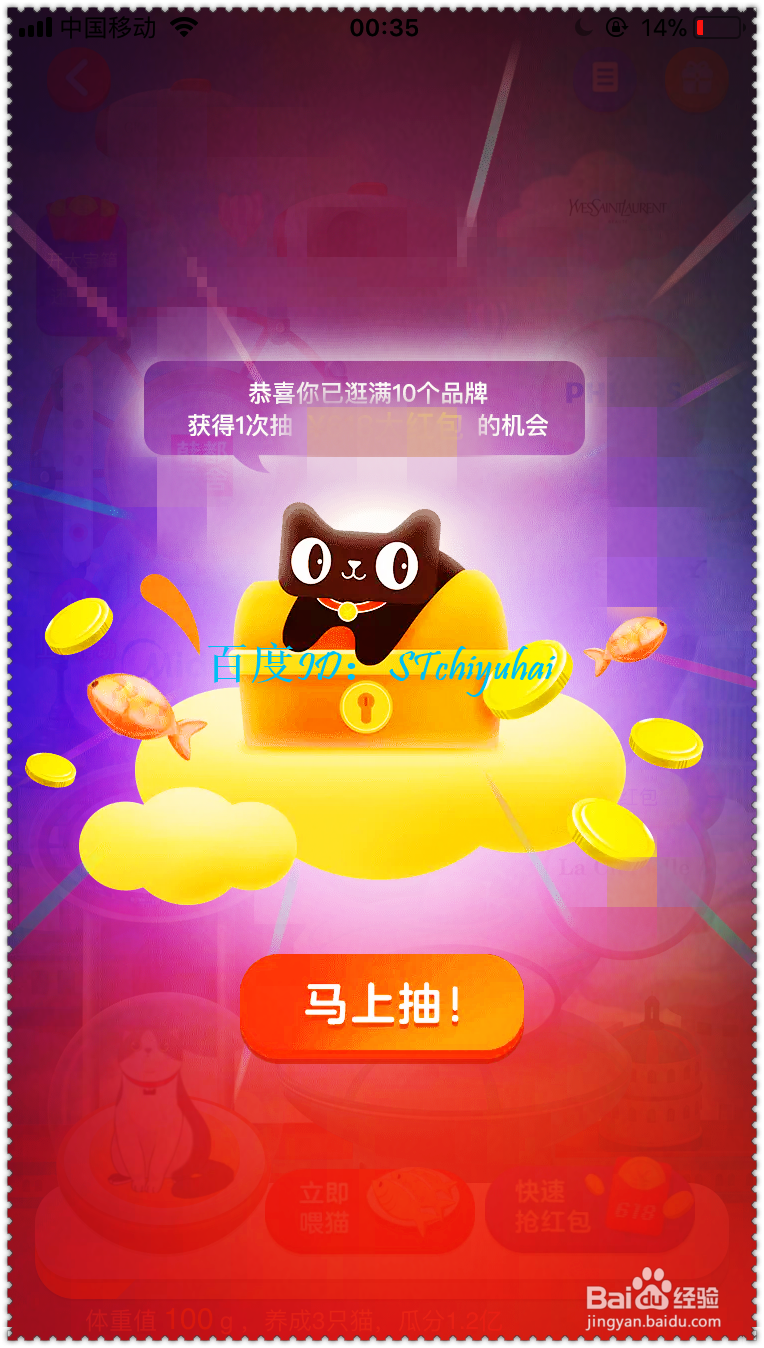 如何参与淘宝618的养猫活动