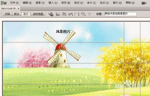 Dreamweaver中如何设置表格的背景图片