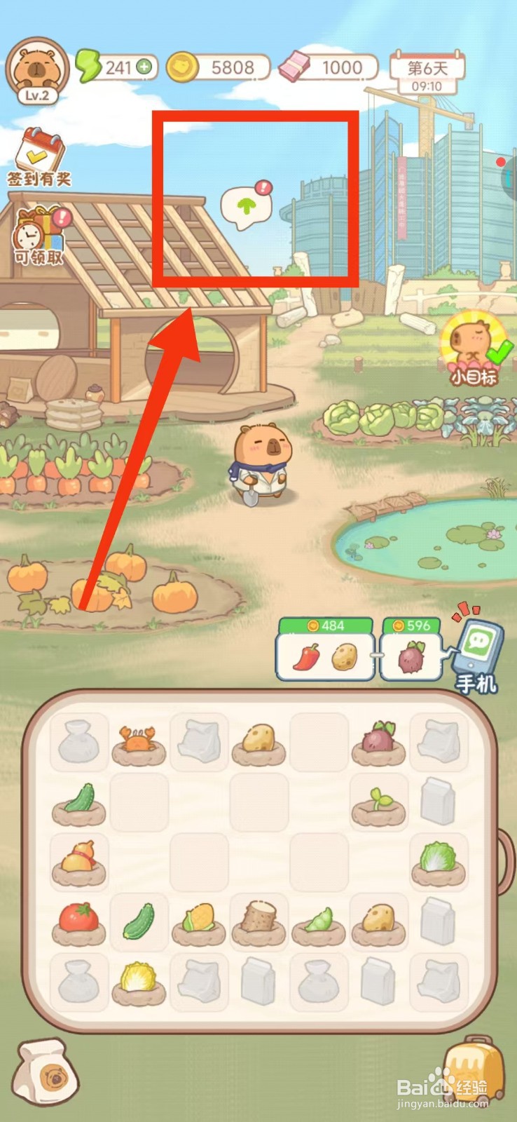 慢豚豚的生活如何修建舒适田园