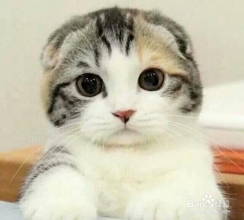 两岁孩子哭闹怎么教育