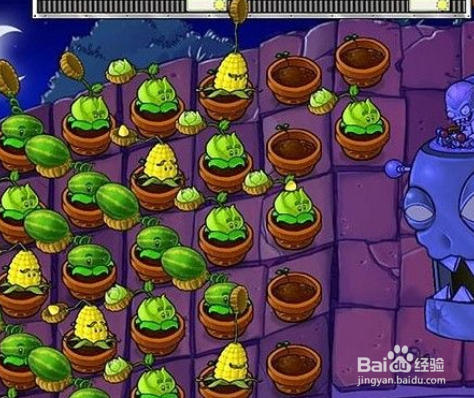 植物大战僵尸屋顶9-10关攻略