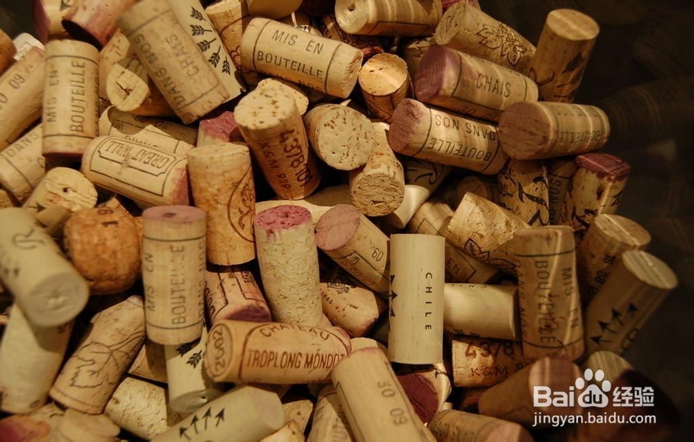 选购登山杖须知六点小细节