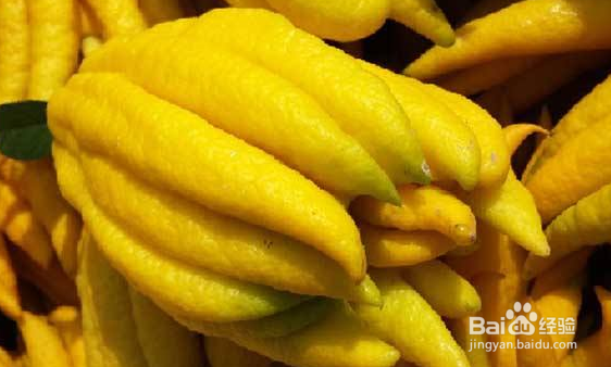 伊佛手的功效与食用方法