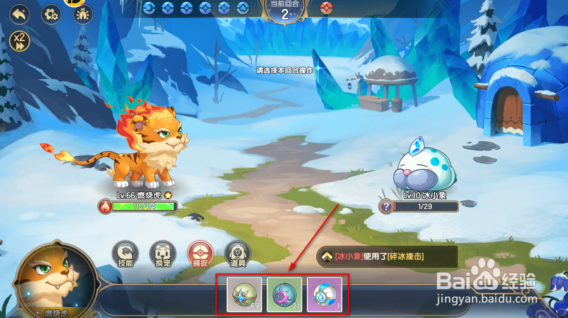 西普大陆宠物怎么捕捉