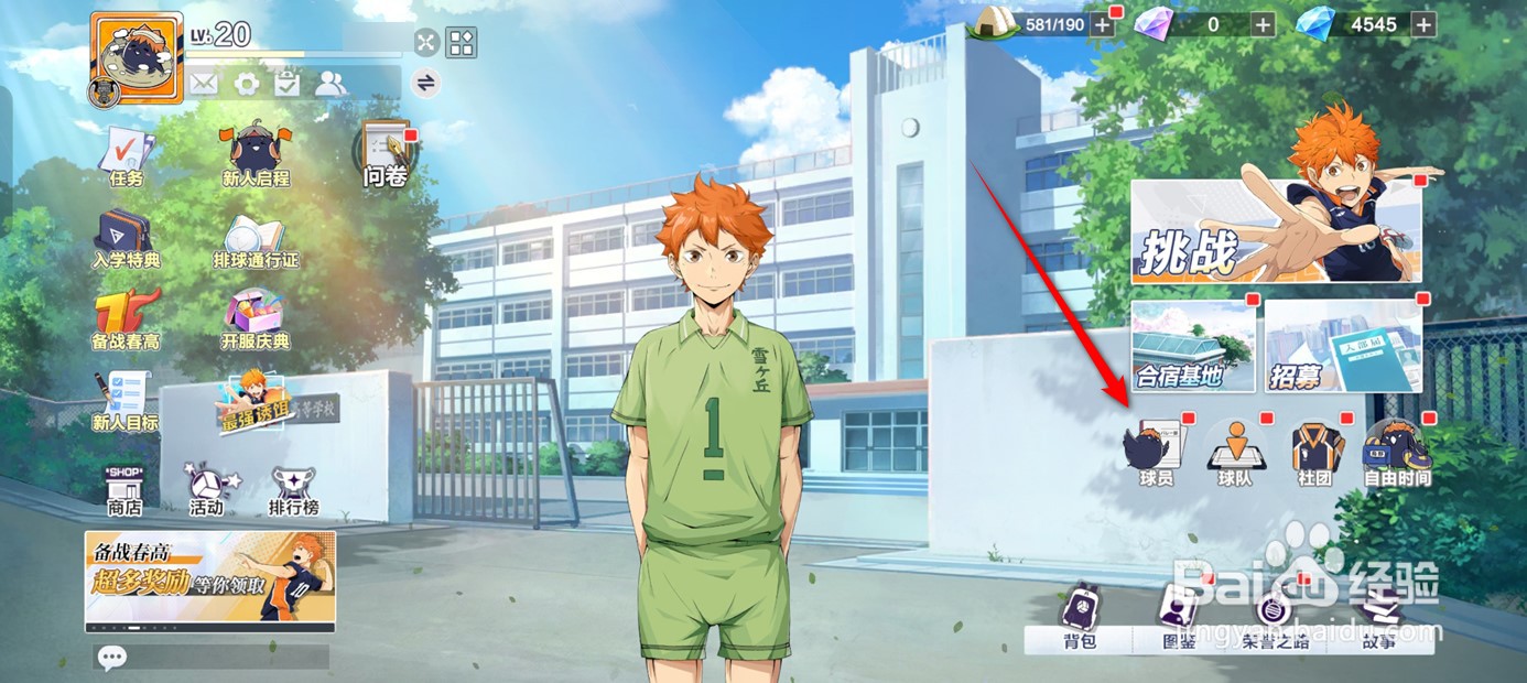 排球少年新的征程球员如何分解