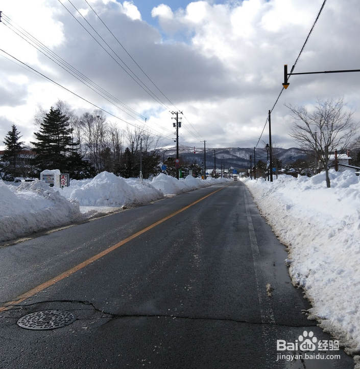 一条性价比爆棚的万元以下日本北海道观雪路线