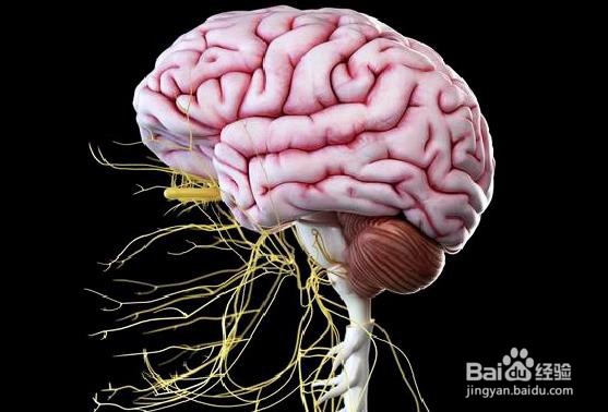 糖尿病会给身体造成哪些破坏