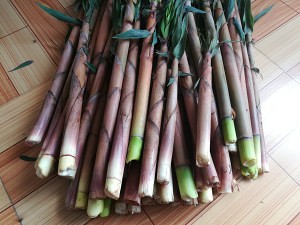 食补养生手剥笋（去壳版）的做法