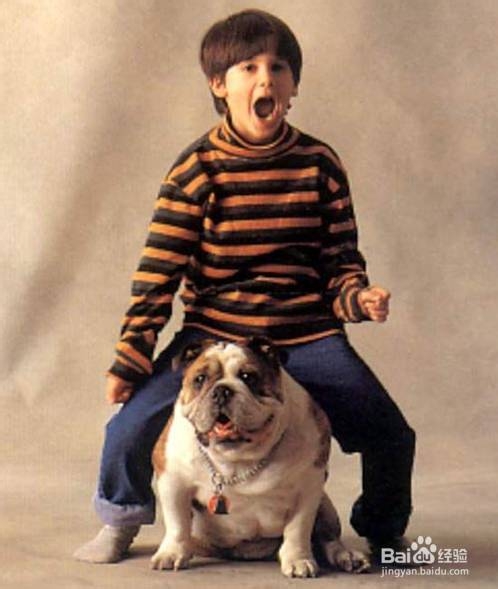 成功的36式：[2]之2后编式