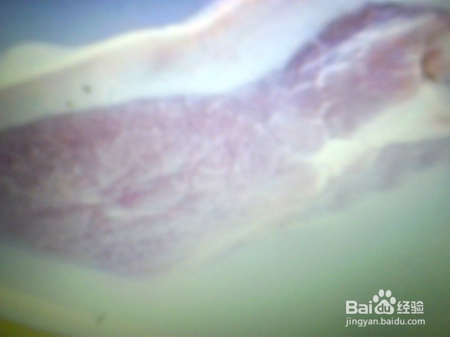 淘米水的功效有哪些