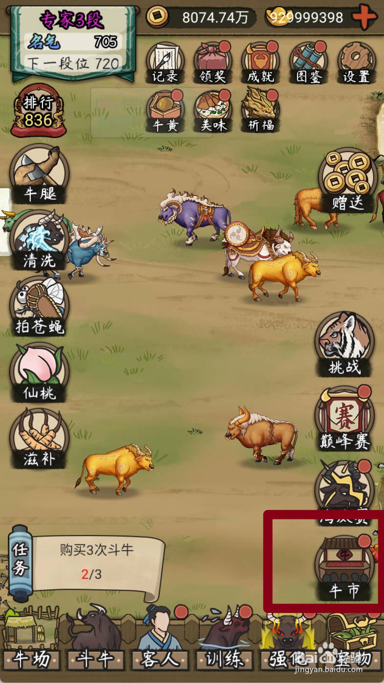 叫我养牛王如何购买顶过母狮子的阿山神牛