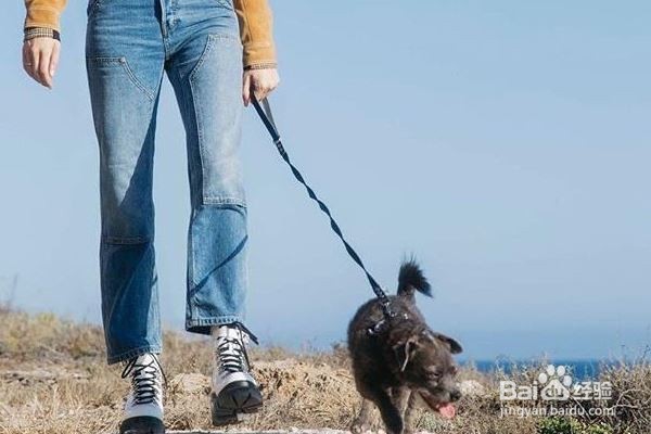 避免裤子膝盖鼓包窍门