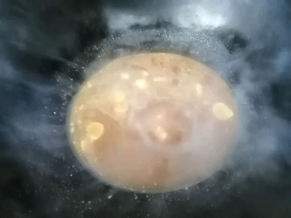 猴头菇香焖五花肉