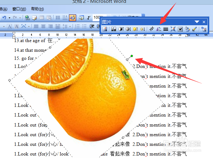 怎样在WORD里配图并且调整图片