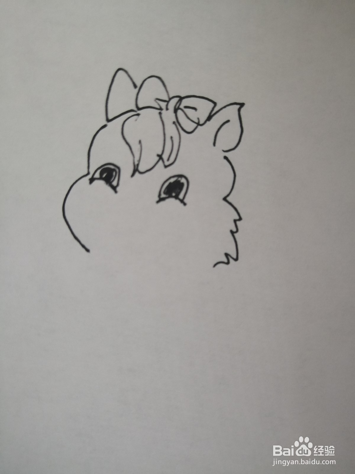 可爱的小松鼠怎么画