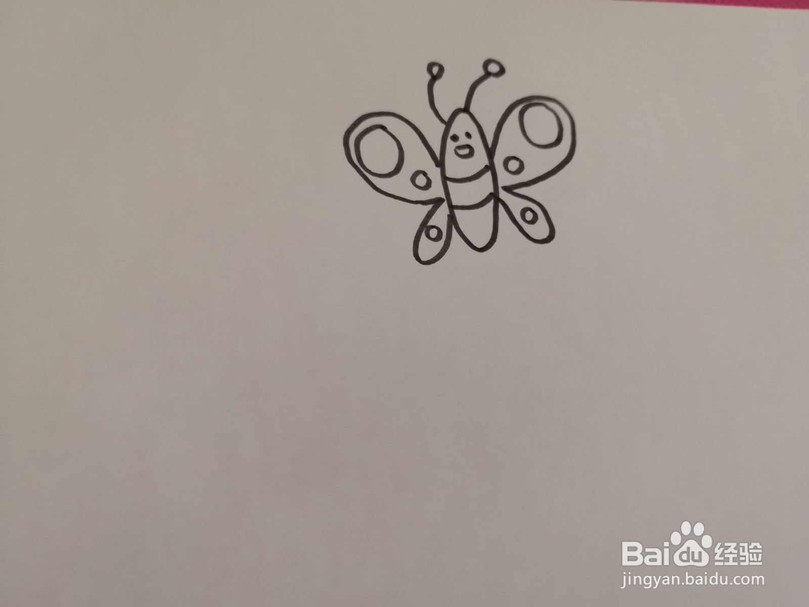 蝴蝶成长过程图简笔画