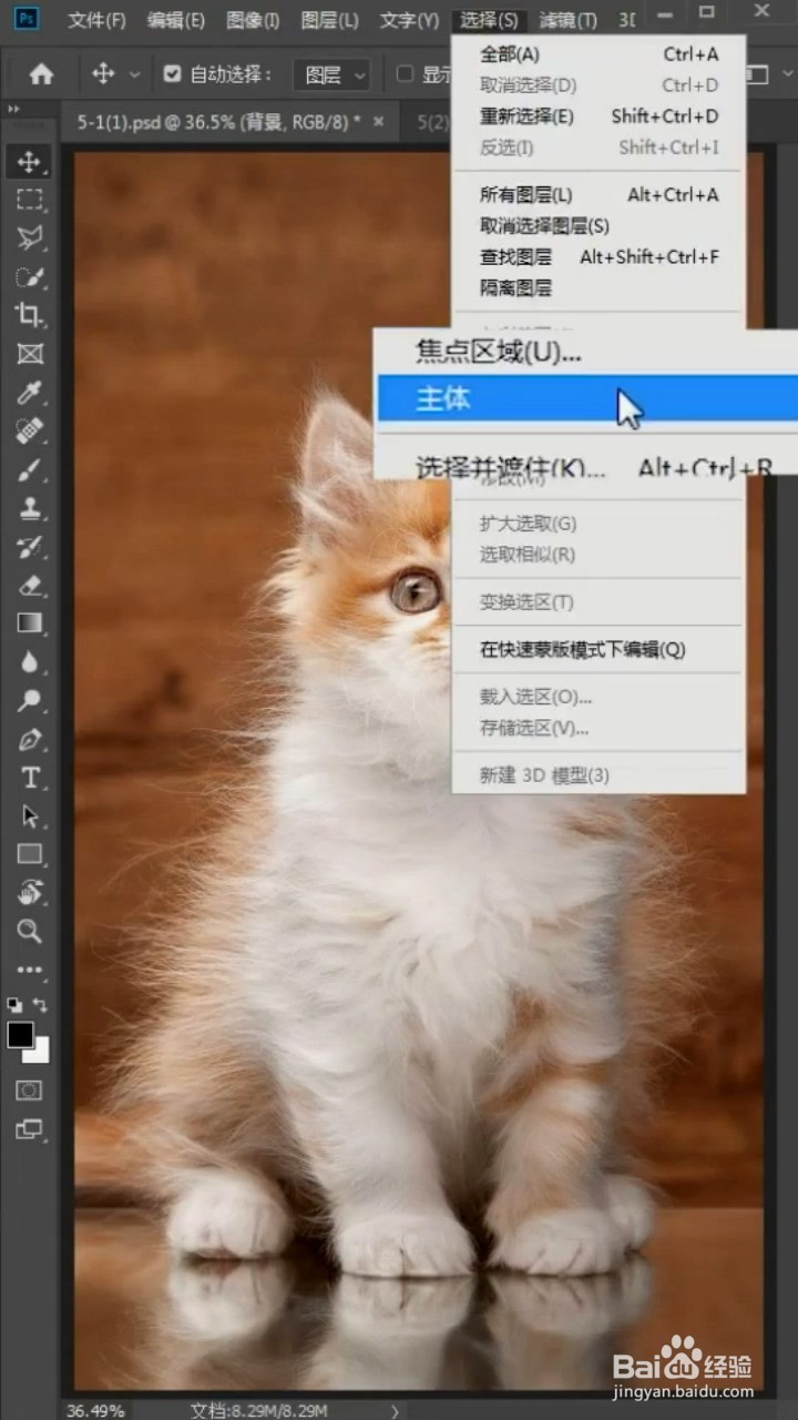 如何利用photoshop抠出小猫咪
